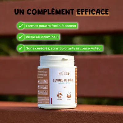 Levure De Bière - Vitamines B - Poil - Peau Saine - Chien et Chat - 100g