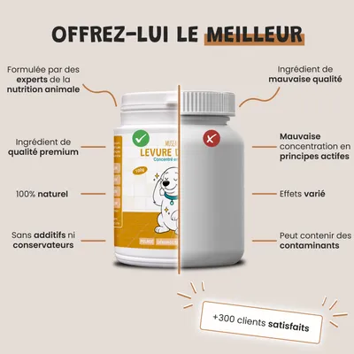 Museau & Co | Bierhefe | Fell & Verdauung | Hund & Katze Museau & Co | Bierhefe | Fell & Verdauung | Hund & Katze