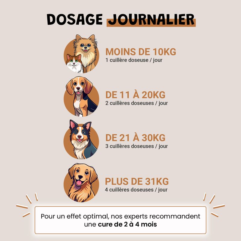 Levure De Bière - Vitamines B - Poil - Peau Saine - Chien et Chat - 100g