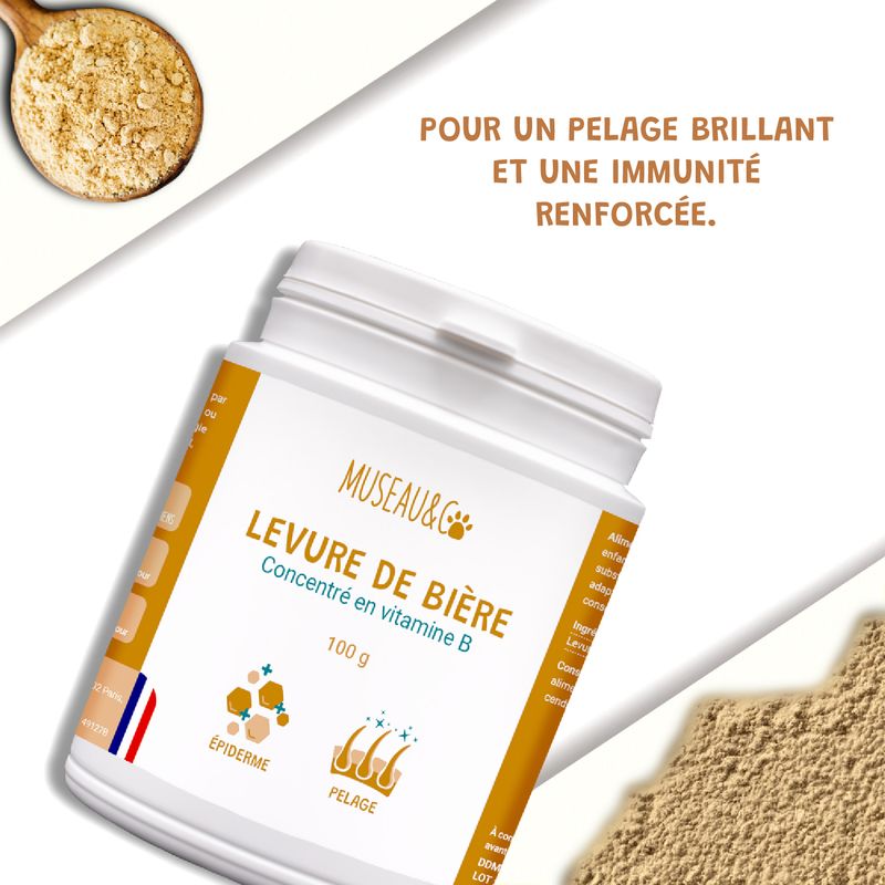 Levure De Bière - Vitamines B - Poil - Peau Saine - Chien et Chat - 100g