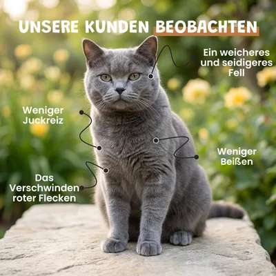 Museau & Co | Bierhefe | Fell & Verdauung | Hund & Katze Museau & Co | Bierhefe | Fell & Verdauung | Hund & Katze