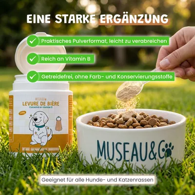 Museau & Co | Bierhefe | Fell & Verdauung | Hund & Katze Museau & Co | Bierhefe | Fell & Verdauung | Hund & Katze