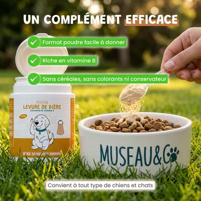 Museau & Co | Bierhefe | Fell & Verdauung | Hund & Katze Museau & Co | Bierhefe | Fell & Verdauung | Hund & Katze