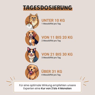 Museau & Co | Bierhefe | Fell & Verdauung | Hund & Katze