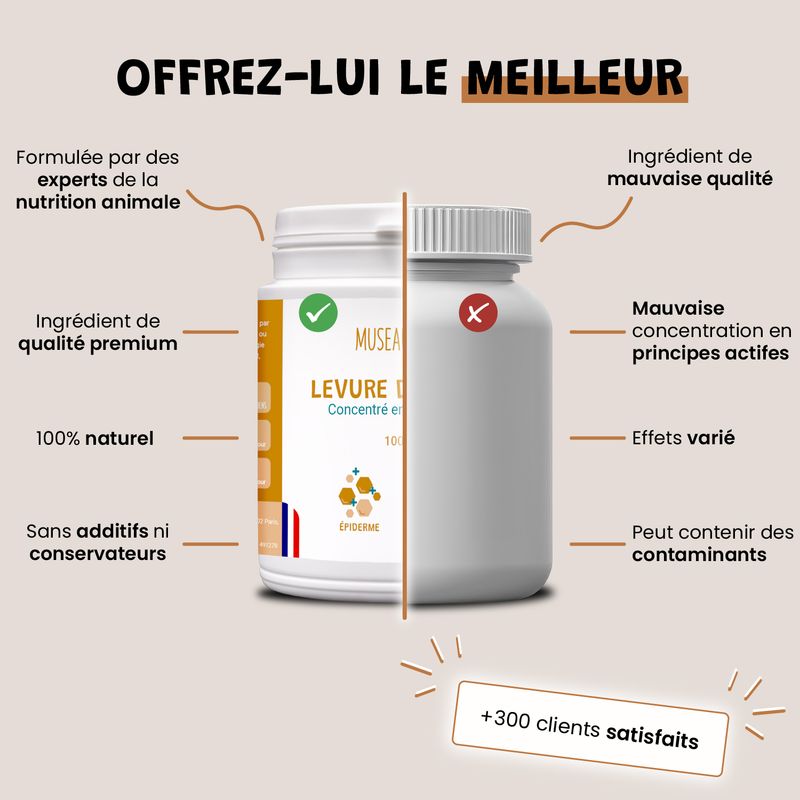 Levure De Bière - Vitamines B - Poil - Peau Saine - Chien et Chat - 100g