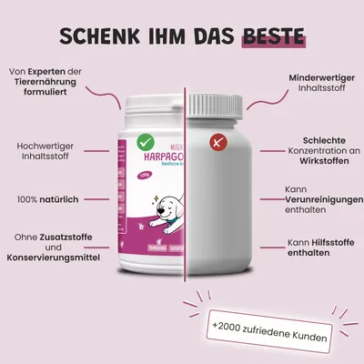 Museau & Co | Teufelskralle | Natürliche Gelenkpflege | Hund & Katze Museau & Co | Teufelskralle | Natürliche Gelenkpflege | Hund & Katze