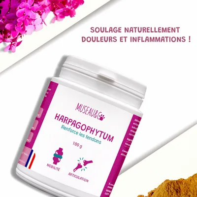 Harpagophytum - Articulations - Mobilité - Souplesse - Chien et Chat - 100g