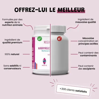 Harpagophytum - Articulations - Mobilité - Souplesse - Chien et Chat - 100g