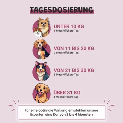 Museau & Co | Teufelskralle | Natürliche Gelenkpflege | Hund & Katze Museau & Co | Teufelskralle | Natürliche Gelenkpflege | Hund & Katze