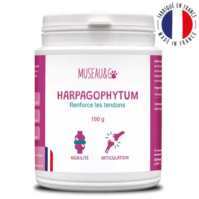 Harpagophytum - Articulations - Mobilité - Souplesse - Chien et Chat - 100g Harpagophytum - Articulations - Mobilité - Souplesse - Chien et Chat - 100g