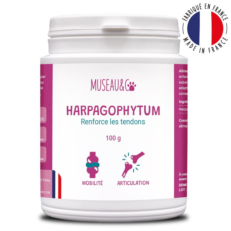 Harpagophytum - Articulations - Mobilité - Souplesse - Chien et Chat - 100g