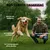 Harpagophytum - Articulations - Mobilité - Souplesse - Chien et Chat - 100g