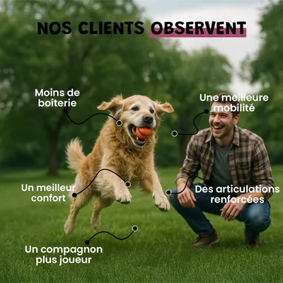 Harpagophytum - Articulations - Mobilité - Souplesse - Chien et Chat - 100g