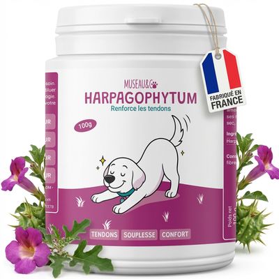 Museau & Co | Harpagophytum | Anti-inflammatoire Naturel | Chien & Chat