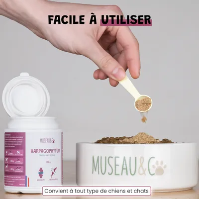 Harpagophytum - Articulations - Mobilité - Souplesse - Chien et Chat - 100g