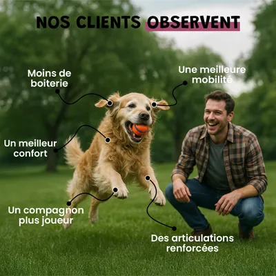 Moule Verte - Anti-Inflammatoire - Mobilité - Oméga-3 - Chien & Chat - 100g