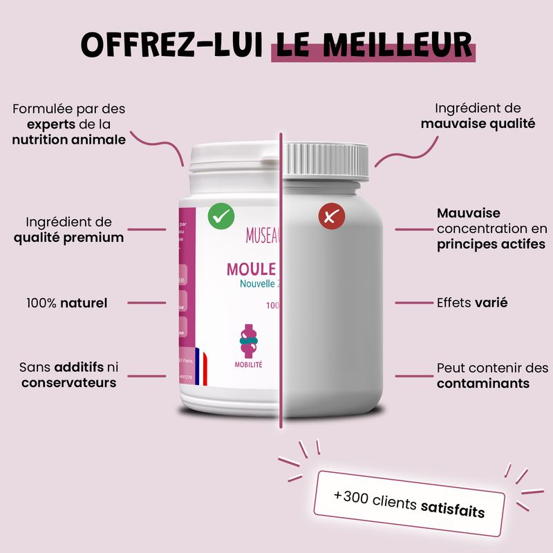Moule Verte - Anti-Inflammatoire - Mobilité - Oméga-3 - Chien & Chat - 100g