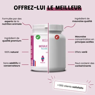 Moule Verte - Anti-Inflammatoire - Mobilité - Oméga-3 - Chien & Chat - 100g