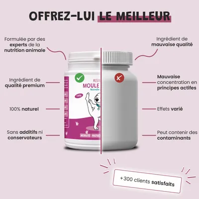 Museau & Co | Moule Verte Nouvelle-Zélande | Articulation | Chien & Chat Museau & Co | Moule Verte Nouvelle-Zélande | Articulation | Chien & Chat