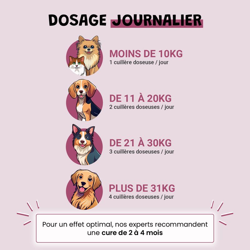 Moule Verte - Anti-Inflammatoire - Mobilité - Oméga-3 - Chien & Chat - 100g