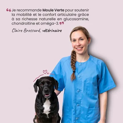 Museau & Co | Moule Verte Nouvelle-Zélande | Articulation | Chien & Chat Museau & Co | Moule Verte Nouvelle-Zélande | Articulation | Chien & Chat