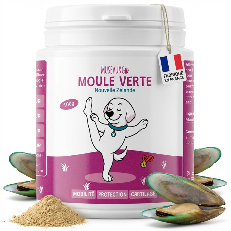 Museau & Co | Moule Verte Nouvelle-Zélande | Articulation | Chien & Chat