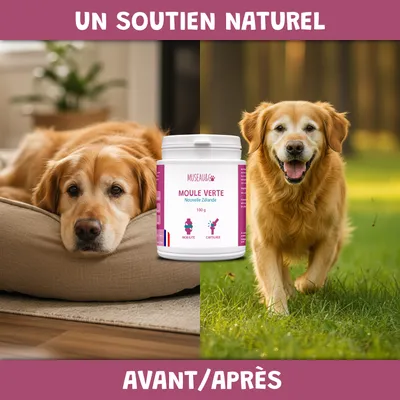 Moule Verte - Anti-Inflammatoire - Mobilité - Oméga-3 - Chien & Chat - 100g