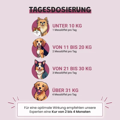 Museau & Co | Grünlippmuschel aus Neuseeland | Gelenke | Hund & Katze Museau & Co | Grünlippmuschel aus Neuseeland | Gelenke | Hund & Katze
