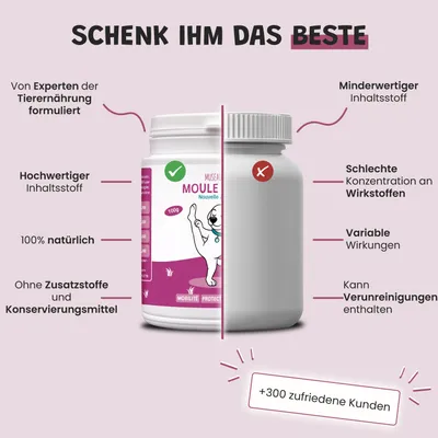 Museau & Co | Grünlippmuschel aus Neuseeland | Gelenke | Hund & Katze Museau & Co | Grünlippmuschel aus Neuseeland | Gelenke | Hund & Katze