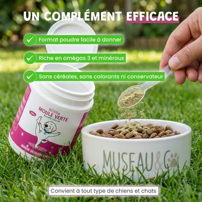 Museau & Co | Moule Verte Nouvelle-Zélande | Articulation | Chien & Chat Museau & Co | Moule Verte Nouvelle-Zélande | Articulation | Chien & Chat