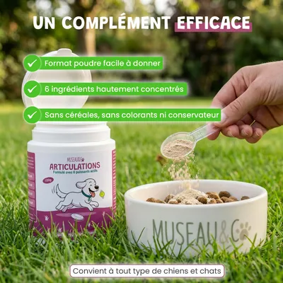 Arthro Confort - Mobilité - Articulation - Souplesse - Chien et Chat - 100g Arthro Confort - Mobilité - Articulation - Souplesse - Chien et Chat - 100g