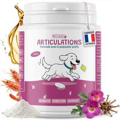 Museau & Co | Articulations | Mobilité & Confort 6 Actifs | Chien & Chat
