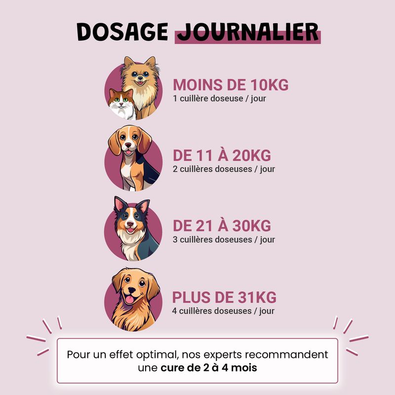 Arthro Confort - Mobilité - Articulation - Souplesse - Chien et Chat - 100g