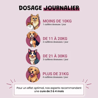 Arthro Confort - Mobilité - Articulation - Souplesse - Chien et Chat - 100g