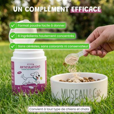 Museau & Co | Articulations | Mobilité & Confort 6 Actifs | Chien & Chat