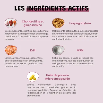 Arthro Confort - Mobilité - Articulation - Souplesse - Chien et Chat - 100g