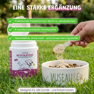 Museau & Co | Gelenke | Mobilität & Komfort 6 Wirkstoffe | Hund & Katze Museau & Co | Gelenke | Mobilität & Komfort 6 Wirkstoffe | Hund & Katze