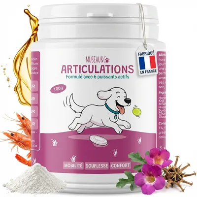 Arthro Confort - Mobilité - Articulation - Souplesse - Chien et Chat - 100g Arthro Confort - Mobilité - Articulation - Souplesse - Chien et Chat - 100g