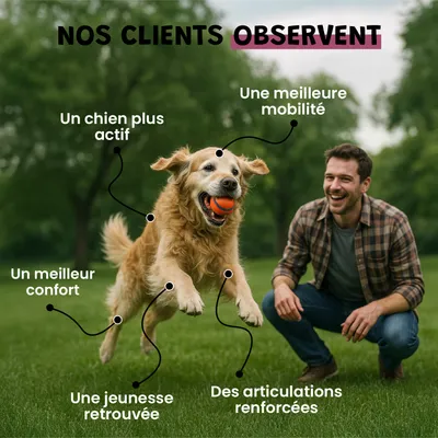 Arthro Confort - Mobilité - Articulation - Souplesse - Chien et Chat - 100g