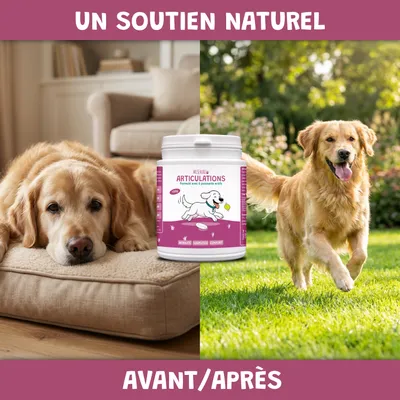 Arthro Confort - Mobilité - Articulation - Souplesse - Chien et Chat - 100g Arthro Confort - Mobilité - Articulation - Souplesse - Chien et Chat - 100g