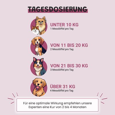 Museau & Co | Gelenke | Mobilität & Komfort 6 Wirkstoffe | Hund & Katze
