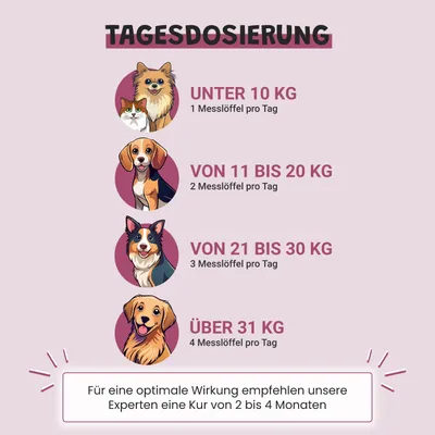 Museau & Co | Gelenke | Mobilität & Komfort 6 Wirkstoffe | Hund & Katze Museau & Co | Gelenke | Mobilität & Komfort 6 Wirkstoffe | Hund & Katze
