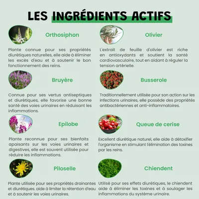 Urino Régule - Confort Urinaire - Reins - Cystite - Chien et Chat - 200ml