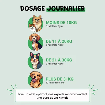 Urino Régule - Confort Urinaire - Reins - Cystite - Chien et Chat - 200ml