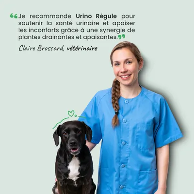 Museau & Co | Urino Régule | Confort Urinaire | Chien & Chat
