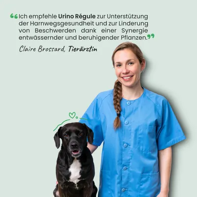 Museau & Co | Urino Régule | Harnkomfort | Hund & Katze Museau & Co | Urino Régule | Harnkomfort | Hund & Katze