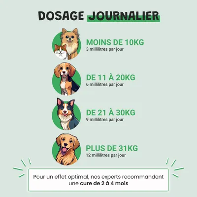 Museau & Co | Urino Régule | Harnkomfort | Hund & Katze Museau & Co | Urino Régule | Harnkomfort | Hund & Katze