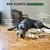Museau & Co | Urino Régule | Harnkomfort | Hund & Katze Museau & Co | Urino Régule | Harnkomfort | Hund & Katze