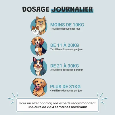 Museau & Co | Probiotiques | Digestion & Immunité | Chien & Chat Museau & Co | Probiotiques | Digestion & Immunité | Chien & Chat