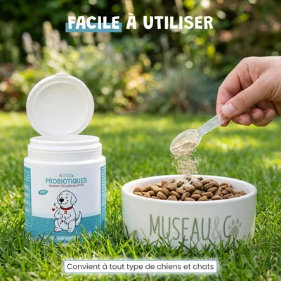 Museau & Co | Probiotika | Verdauung & Abwehrkräfte | Hund & Katze Museau & Co | Probiotika | Verdauung & Abwehrkräfte | Hund & Katze